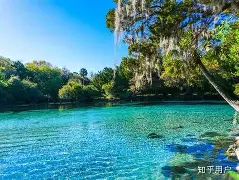 半岛体育在线官网-亚冠淘汰赛规则